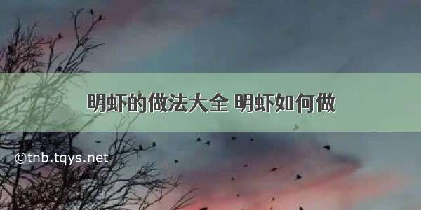 明虾的做法大全 明虾如何做