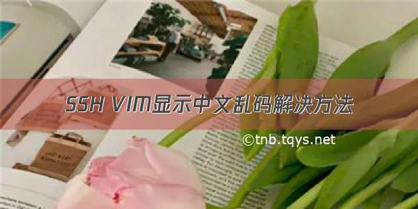 SSH VIM显示中文乱码解决方法