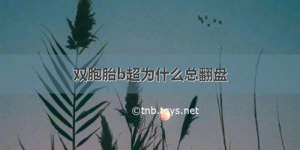 双胞胎b超为什么总翻盘