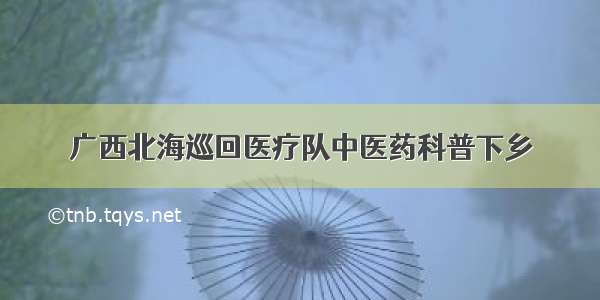 广西北海巡回医疗队中医药科普下乡