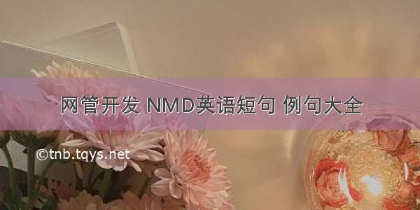 网管开发 NMD英语短句 例句大全