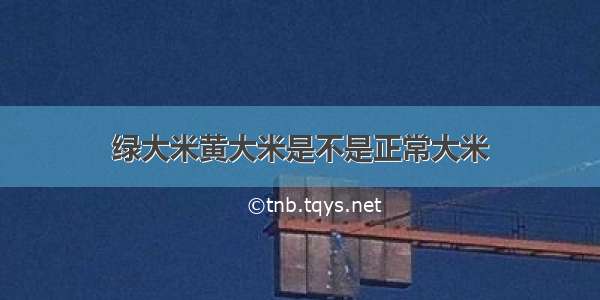 绿大米黄大米是不是正常大米