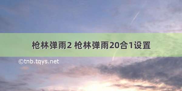 枪林弹雨2 枪林弹雨20合1设置