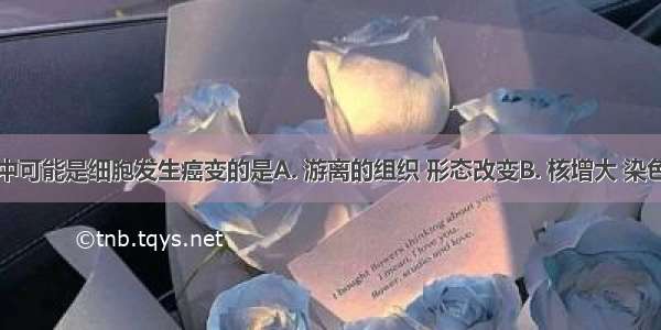 下列现象中可能是细胞发生癌变的是A. 游离的组织 形态改变B. 核增大 染色质固缩C.