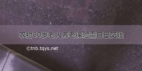 农村60岁老人养老保险需自己交钱