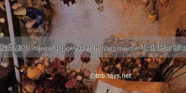 肺癌抑癌基因1 tumor suppressor in lung cancer-1英语短句 例句大全