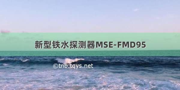 新型铁水探测器MSE-FMD95