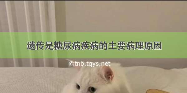 遗传是糖尿病疾病的主要病理原因