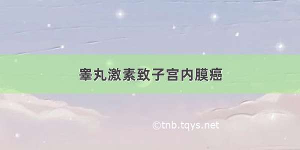 睾丸激素致子宫内膜癌