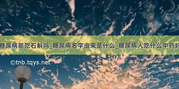 糖尿病能吃石斛吗_糖尿病名字由来是什么_糖尿病人吃什么中药好