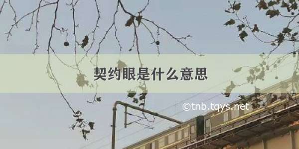 契约眼是什么意思