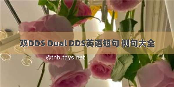 双DDS Dual DDS英语短句 例句大全