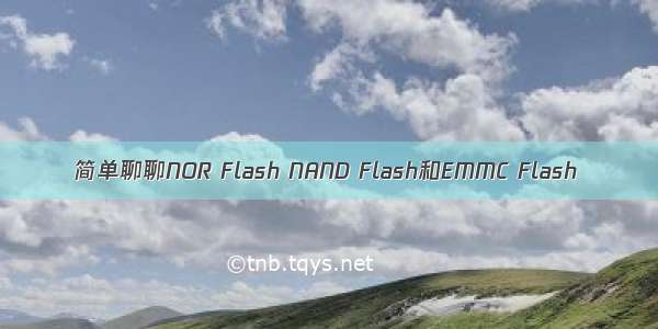 简单聊聊NOR Flash NAND Flash和EMMC Flash