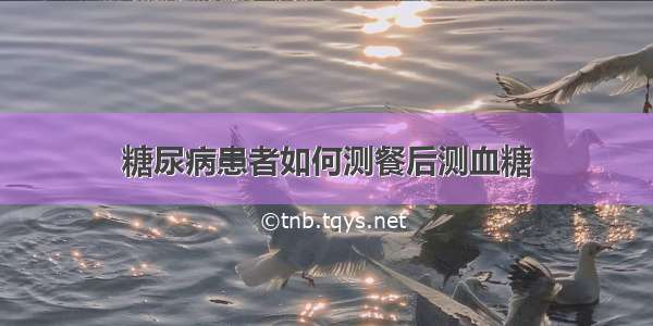 糖尿病患者如何测餐后测血糖