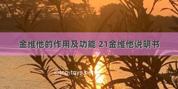 金维他的作用及功能 21金维他说明书