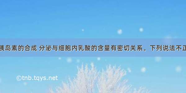 如图 人体胰岛素的合成 分泌与细胞内乳酸的含量有密切关系。下列说法不正确的是A. 