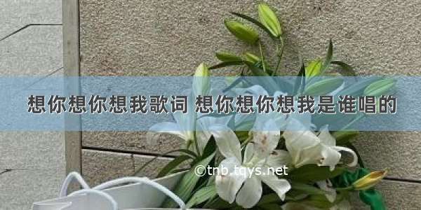 想你想你想我歌词 想你想你想我是谁唱的