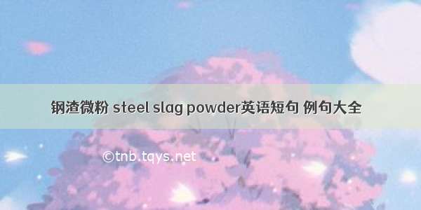 钢渣微粉 steel slag powder英语短句 例句大全