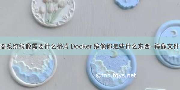 服务器系统镜像需要什么格式 Docker 镜像都是些什么东西-镜像文件格式