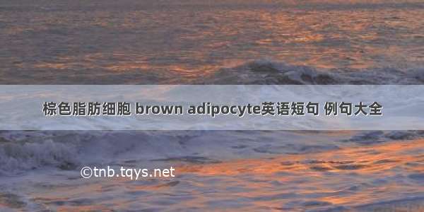 棕色脂肪细胞 brown adipocyte英语短句 例句大全