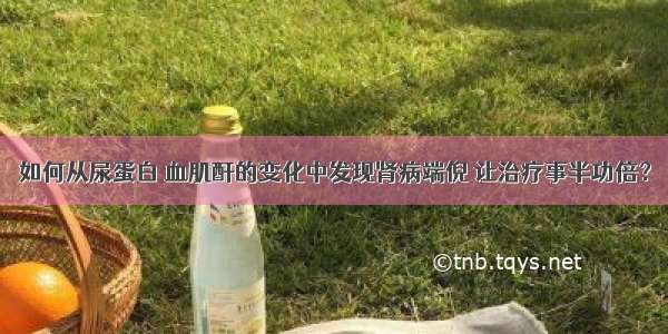 如何从尿蛋白 血肌酐的变化中发现肾病端倪 让治疗事半功倍？