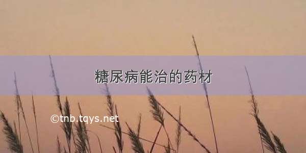 糖尿病能治的药材