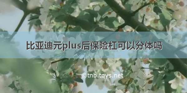 比亚迪元plus后保险杠可以分体吗