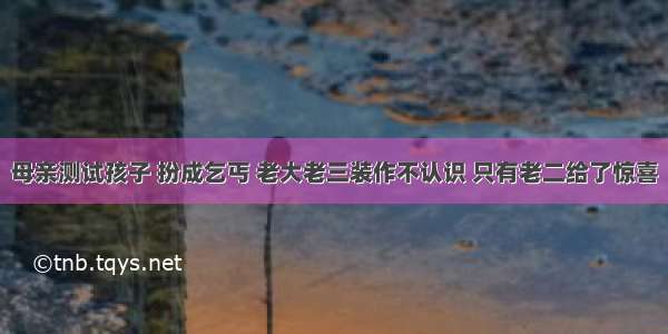 母亲测试孩子 扮成乞丐 老大老三装作不认识 只有老二给了惊喜