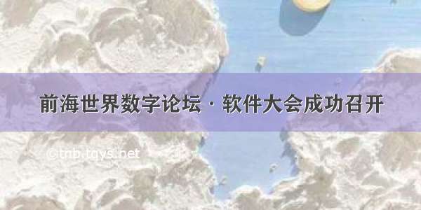 前海世界数字论坛·软件大会成功召开