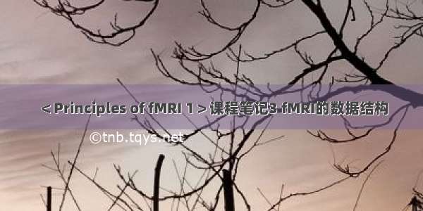 ＜Principles of fMRI 1＞课程笔记3 fMRI的数据结构