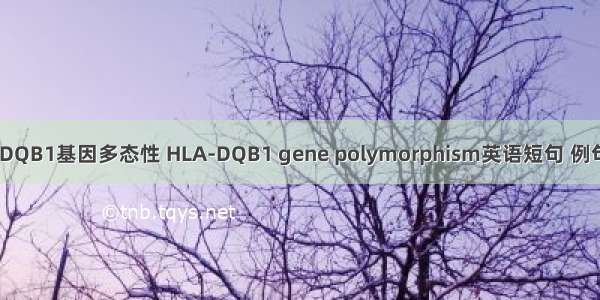 HLA-DQB1基因多态性 HLA-DQB1 gene polymorphism英语短句 例句大全