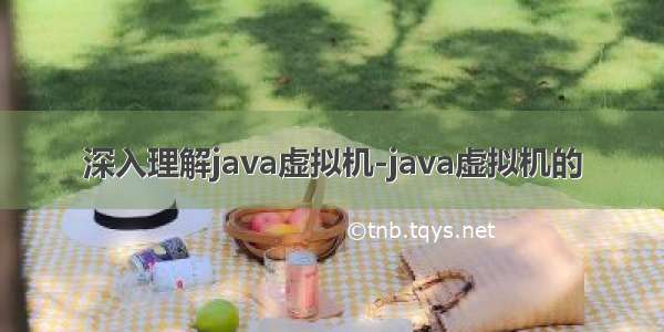 深入理解java虚拟机-java虚拟机的