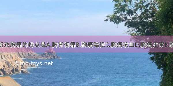 情志郁结不舒所致胸痛的特点是A.胸背彻痛B.胸痛喘促C.胸痛咳血D.胸痛走窜E.胸部刺痛ABCDE