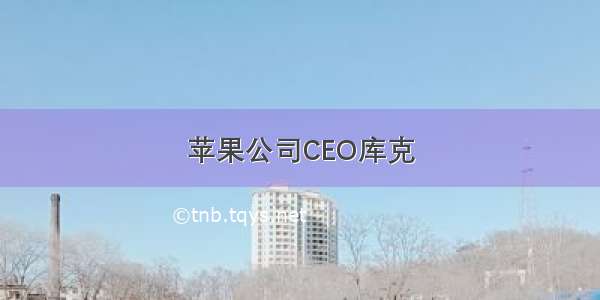 苹果公司CEO库克