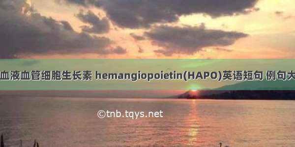 促血液血管细胞生长素 hemangiopoietin(HAPO)英语短句 例句大全