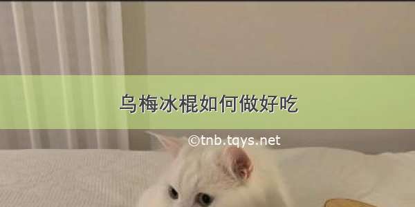 乌梅冰棍如何做好吃