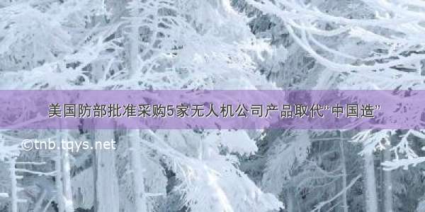 美国防部批准采购5家无人机公司产品取代“中国造”