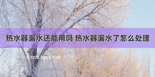 热水器漏水还能用吗 热水器漏水了怎么处理