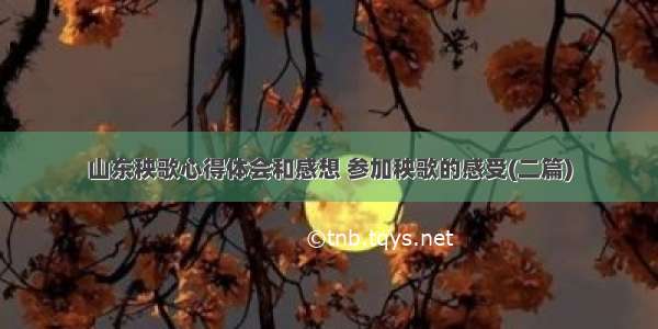 山东秧歌心得体会和感想 参加秧歌的感受(二篇)