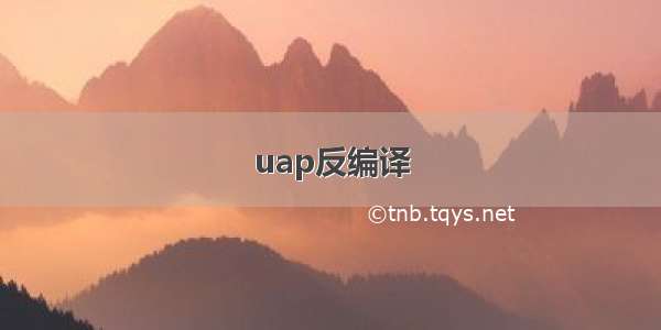 uap反编译