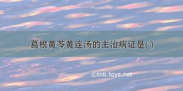 葛根黄芩黄连汤的主治病证是()