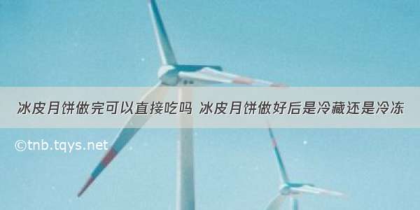 冰皮月饼做完可以直接吃吗 冰皮月饼做好后是冷藏还是冷冻