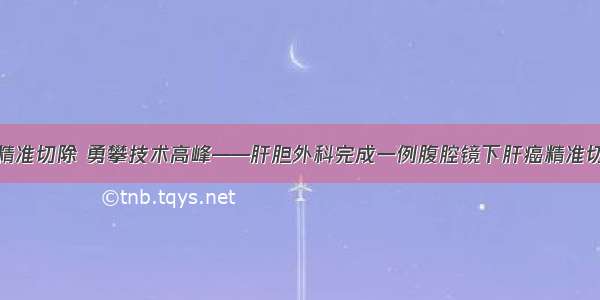 肝癌精准切除 勇攀技术高峰——肝胆外科完成一例腹腔镜下肝癌精准切除术