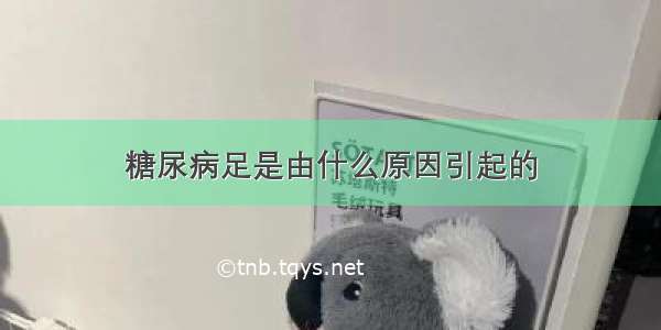 糖尿病足是由什么原因引起的