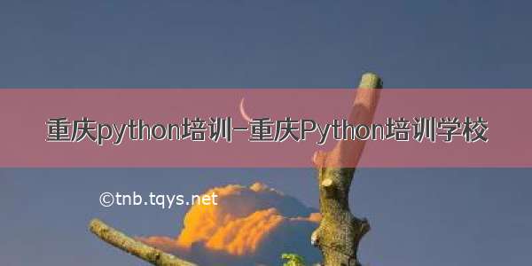 重庆python培训-重庆Python培训学校