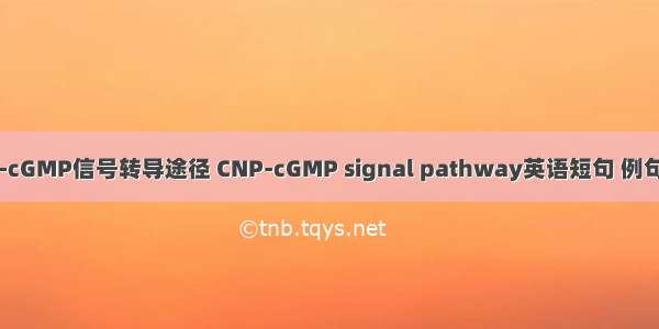 CNP-cGMP信号转导途径 CNP-cGMP signal pathway英语短句 例句大全