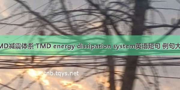 TMD减震体系 TMD energy dissipation system英语短句 例句大全