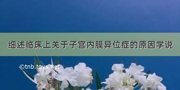 细述临床上关于子宫内膜异位症的原因学说