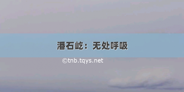 潘石屹：无处呼吸