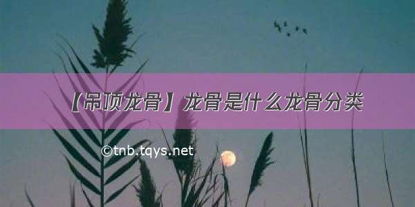 【吊顶龙骨】龙骨是什么龙骨分类